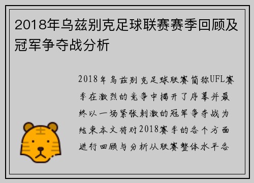 2018年乌兹别克足球联赛赛季回顾及冠军争夺战分析